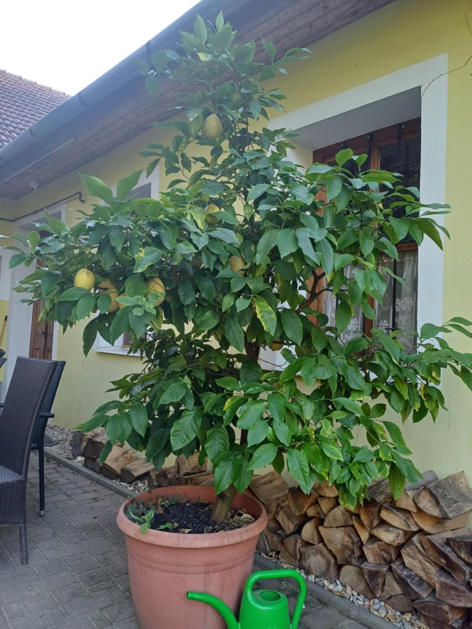 Zanati Apartmannház Nagykapornak Esterno foto